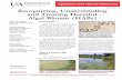 Recognizing, Understanding and Treating Harmful Algal ...