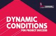DYNAMIC CONDITIONS FOR PROJECT SUCCESS