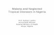 Malaria and Neglected Tropical Diseases in Nigeria