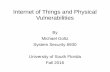 Internet of Things and Physical Vulnerabilities