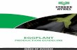 Eggplant Production Guideline 2014 - Starke Ayres