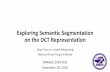 Exploring Semantic Segmentation on the DCT Representation