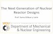 The Next Generation of Nuclear Reactor Designs