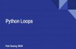 Python Loops - dl1.cuni.cz