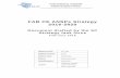 FAB CE ANSPs Strategy 2016-2020
