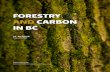 FORESTRY AND CARBON IN BC - Skeena Watershed