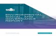 PDF: Environmental, Social, and Governance Report