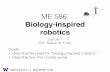 Biology-inspired robotics