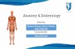 Anatomy & Embryology - Students Club 2020