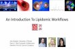An Introduction To Lipidomic Workflows