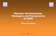 Detector Developments, Strategies and Perspectives At ESRF