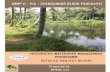 Integrated Watershed Management Programme II, PIA ...