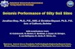 Seismic Performance of Silty Soil Sites