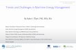Trends and Challenges in Maritime Energy Management