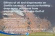Effects of oil and dispersants on Swiftia exserta, a ...