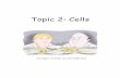 Topic 2 Cells - SHS IB Biology HL Course Website