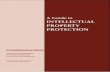 A Guide to Intellectual Property Protection
