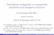 Perturbative ambiguities in compactified spacetime and ...