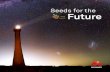 Seeds for the Future - huawei