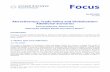 FocusCAE 045-2020 (Auto)