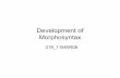 Development of Morphosyntax