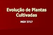 Evolução de Plantas Cultivadas - UENF