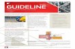 Guideline May 2021