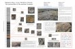 Waterloo Bay, Larne, Northern Ireland: The ammonites of ...