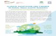 CLIMATE ADAPTATION AND FINANCE IN RURAL INDIA (CAFRI-NABARD)