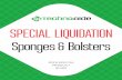SPECIAL LIQUIDATION Sponges & Bolsters