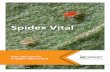 Spidex Vital - koppert.com