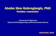 Abebe Sine Gebregiorgis, PhD