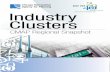 Industry Cluster Snapshot - cmap.illinois.gov