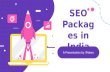 SEO Packages in India - iTrobes
