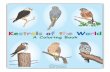 A Coloring Book - HAWK MOUNTAIN SANCTUARY | Hawk …