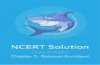 NCERT Solution - MarkSharks - CBSE Maths and Science ...