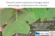 Chronic ozone exposure changes global transpiration and ...