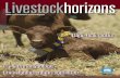 Livestockhorizons CSIRO Livestock Industries Research ...