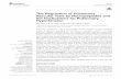 The Regulation of Pulmonary Vascular Tone by Neuropeptides ...