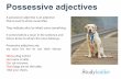Possessive adjectives - Studyladder