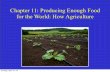 Chapter 11:Producing Enough Food for the World: How ...
