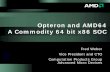 Opteron and AMD64 A Commodity 64 bit x86 SOC