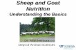 Sheep and Goat Nutrition