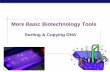 More Basic Biotechnology Tools - Weebly