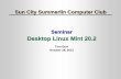 Desktop Linux Mint 20 - scscc.club