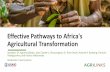 Effective Pathways to Africa's Agricultural Transformation