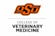 How many veterinary schools are - College of Veterinary ...