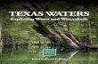 Texas Waters: Exploring Water and Watersheds