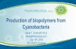 Production of biopolymers from Cyanobacteria