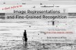 Image Representations and Fine-Grained Recognition